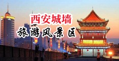 美女搞鸡白虎蜜月网站中国陕西-西安城墙旅游风景区